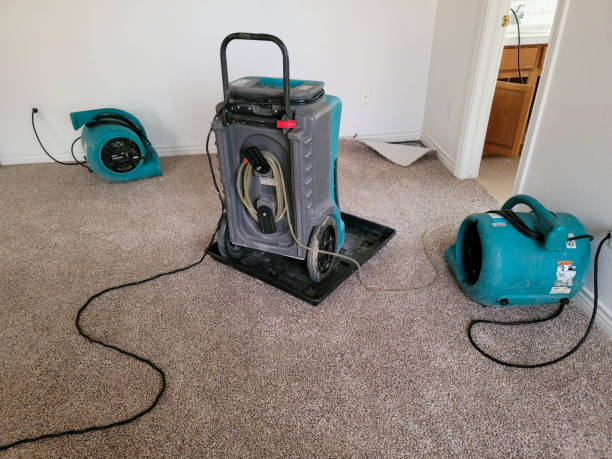 Best Fire Damage Restoration  in Merryville, LA