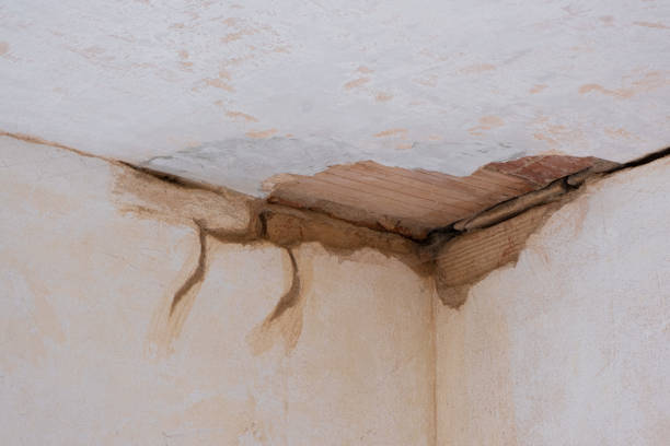 Best Residential water damage restoration  in Merryville, LA