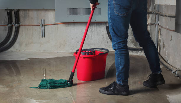 Best Water damage restoration near me  in Merryville, LA