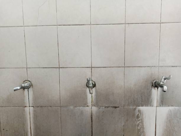 Best Ceiling water damage repair  in Merryville, LA